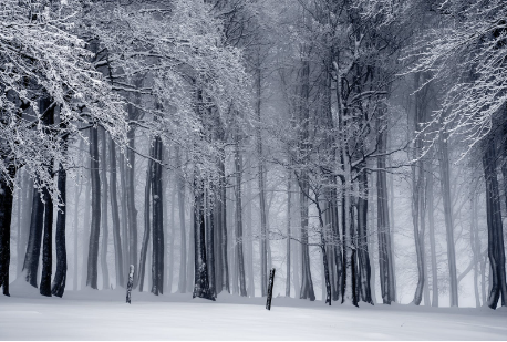 北京欧意热水器今天天气